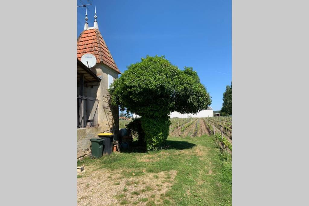 Chateau Roseyrol Proche Saint-Emilion エクステリア 写真