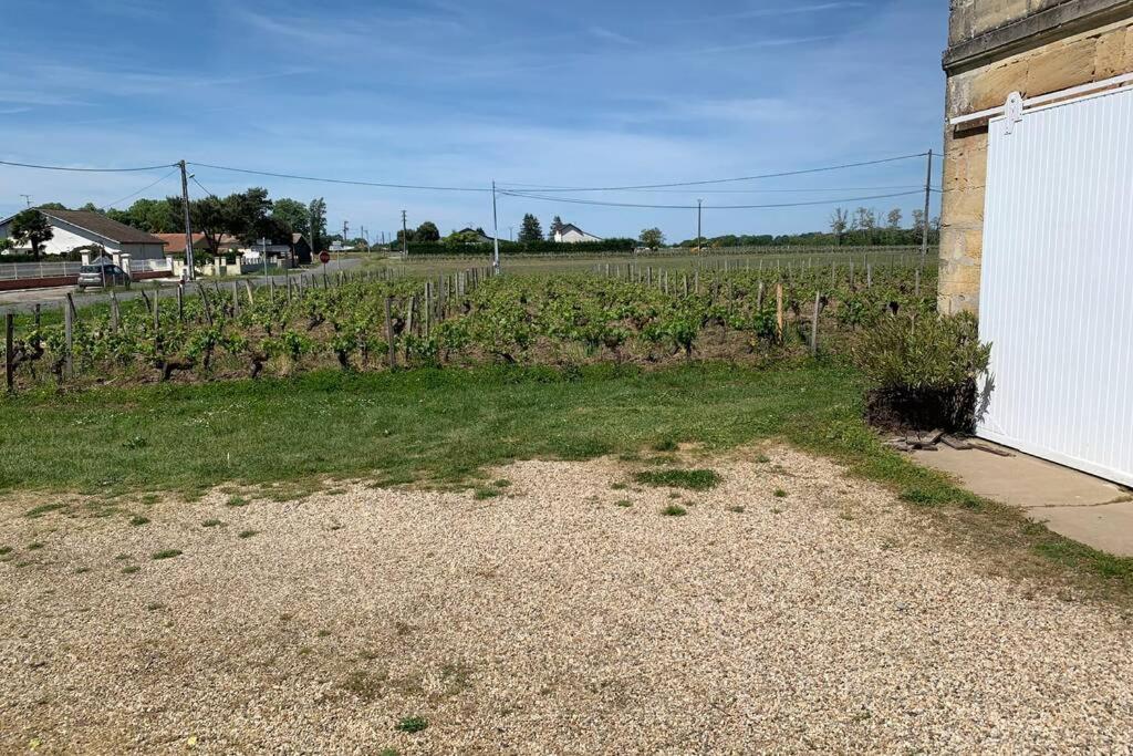Chateau Roseyrol Proche Saint-Emilion エクステリア 写真